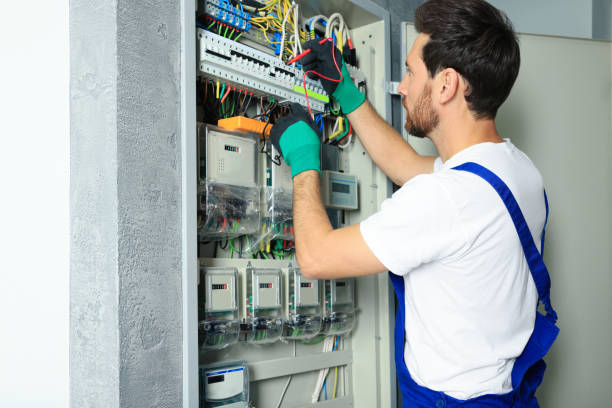 Best Electric Panel Repair  in Placitas, NM